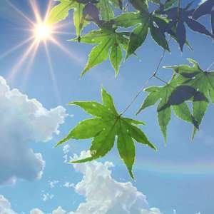 又大x粗黄色录象
