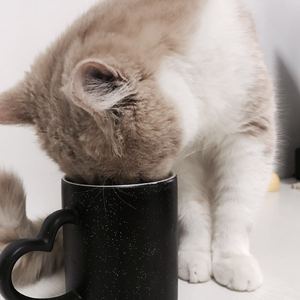 又大x粗黄色录象
